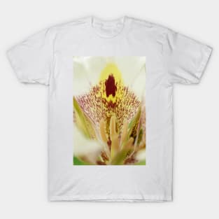 Calochortus superbus  Mariposa lily T-Shirt